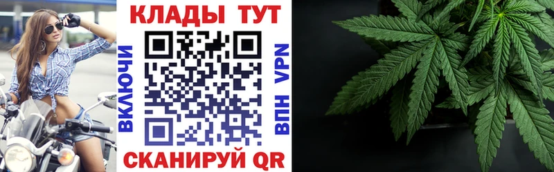 Магазины продажи наркотиков Зеленоградск ГАШ  Cocaine  АМФ  MDMA  Меф мяу мяу  Alpha-PVP  МАРИХУАНА 