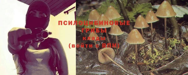 spice Галич