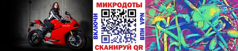 дарнет шоп  Зеленоградск  Псилоцибиновые грибы MAGIC MUSHROOMS 