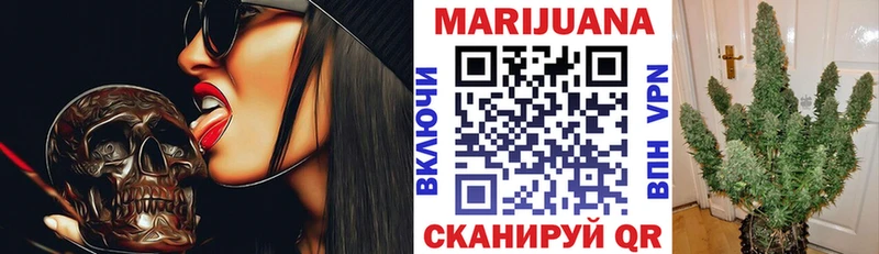 Бошки марихуана планчик  дарнет шоп  Зеленоградск 